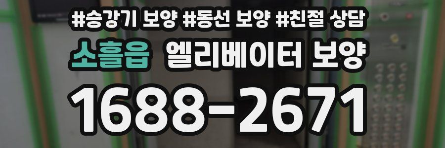 소흘읍 엘리베이터 보양