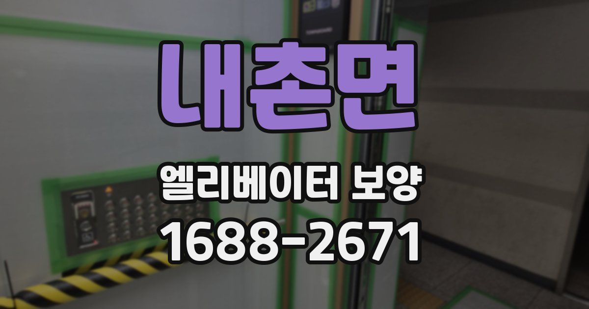 내촌면 엘리베이터 보양