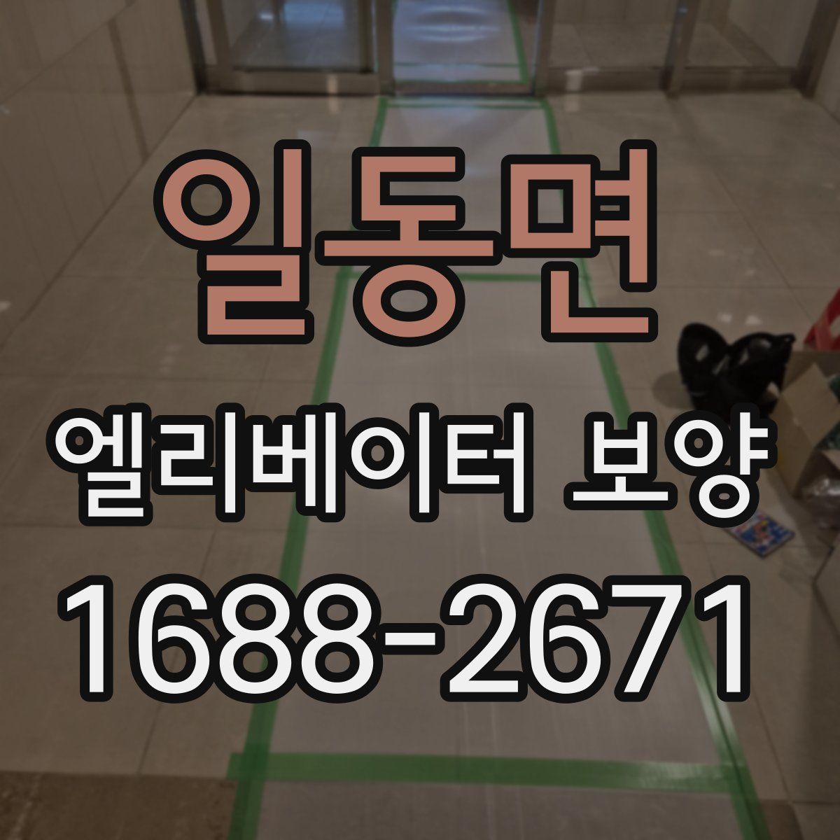 일동면 엘리베이터 보양