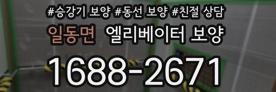 일동면 엘리베이터 보양