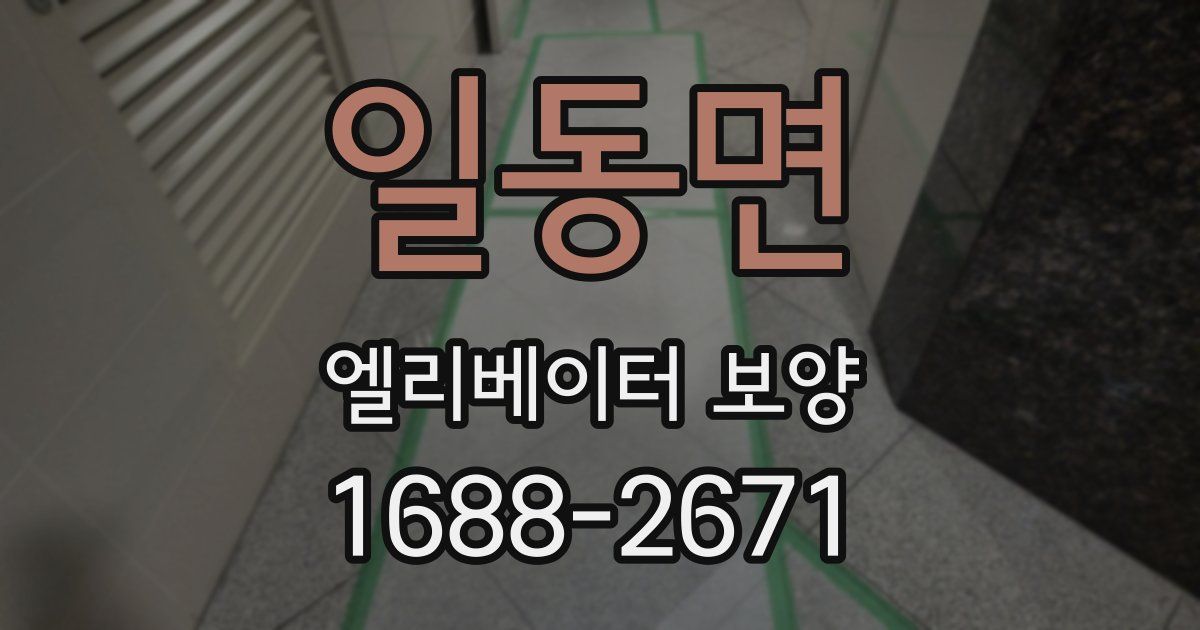 일동면 엘리베이터 보양