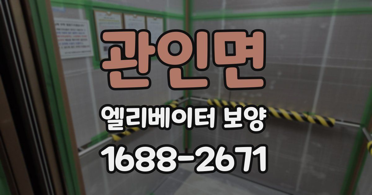 관인면 엘리베이터 보양