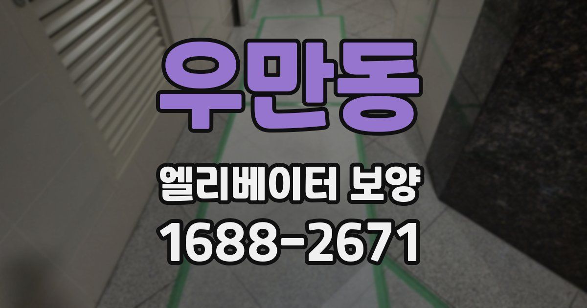 우만동 엘리베이터 보양
