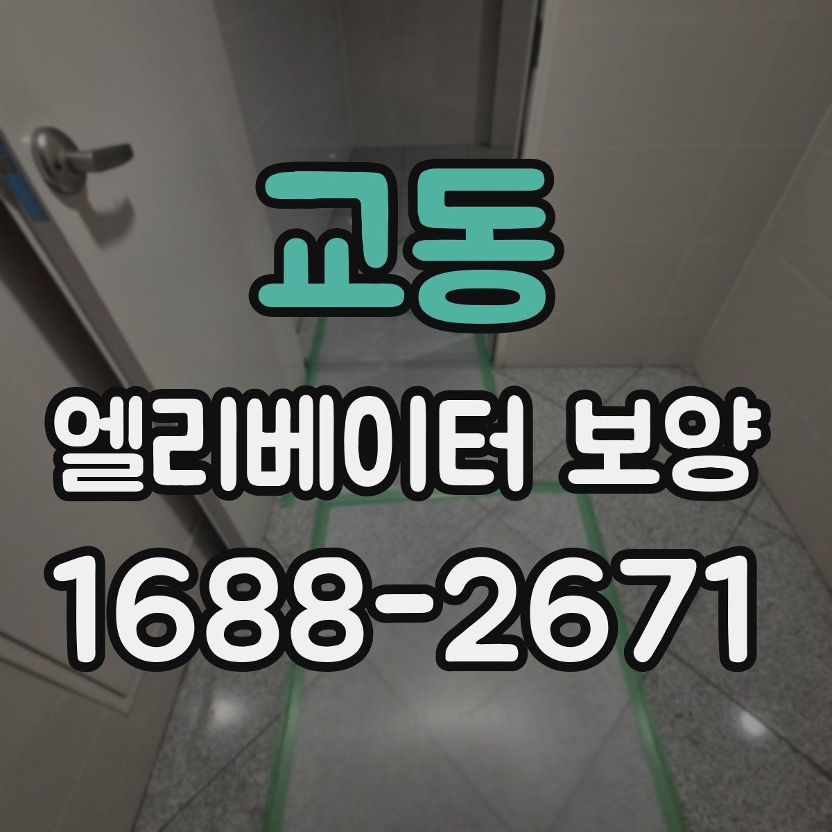 교동 엘리베이터 보양 시 먼저 확인할 기준