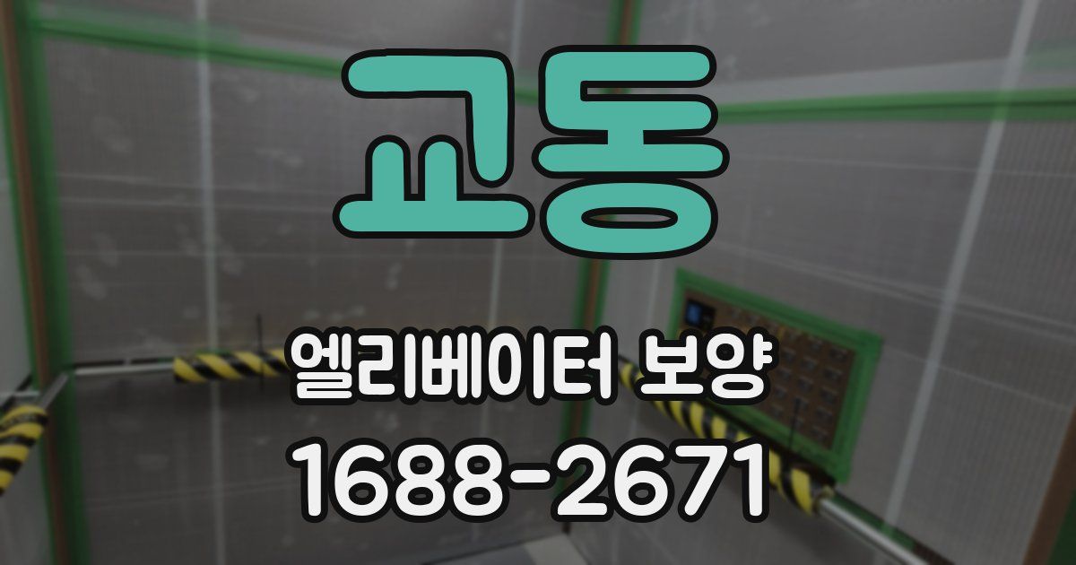 교동 엘리베이터 보양