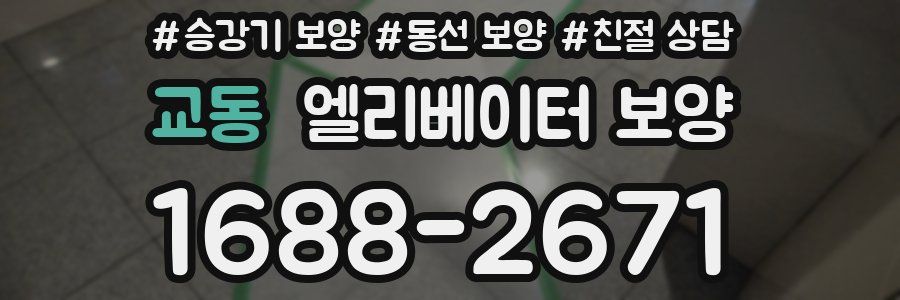 교동 엘리베이터 보양