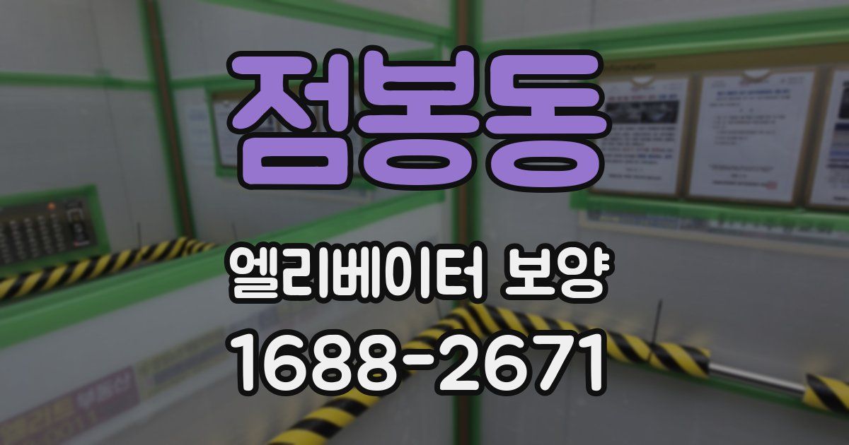 점봉동 엘리베이터 보양