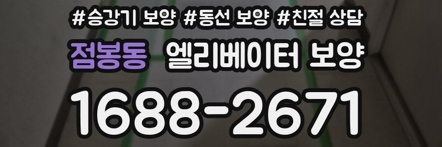 점봉동 엘리베이터 보양