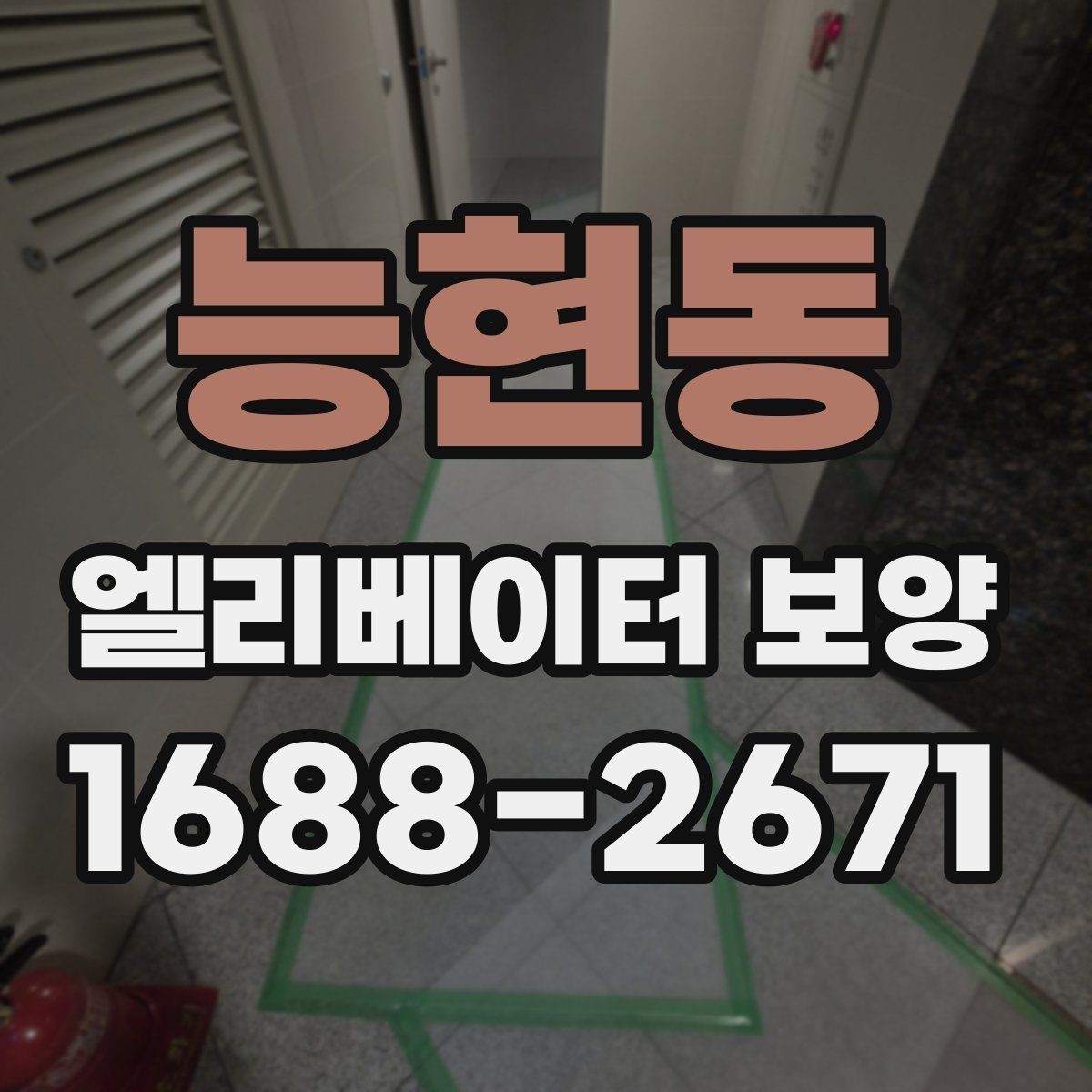 능현동 엘리베이터 보양 현장별 맞춤 적용 사례