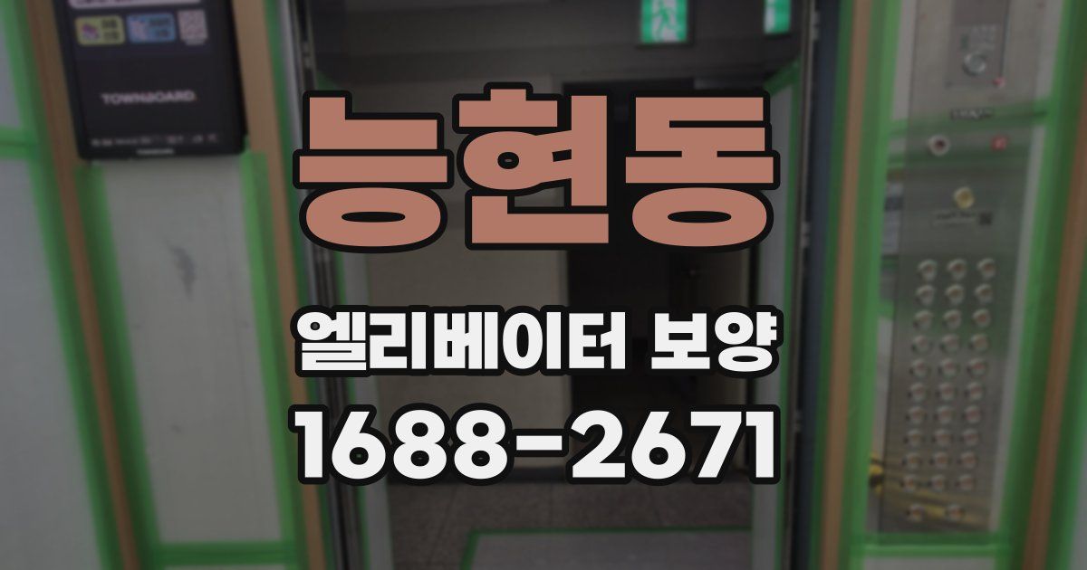 능현동 엘리베이터 보양