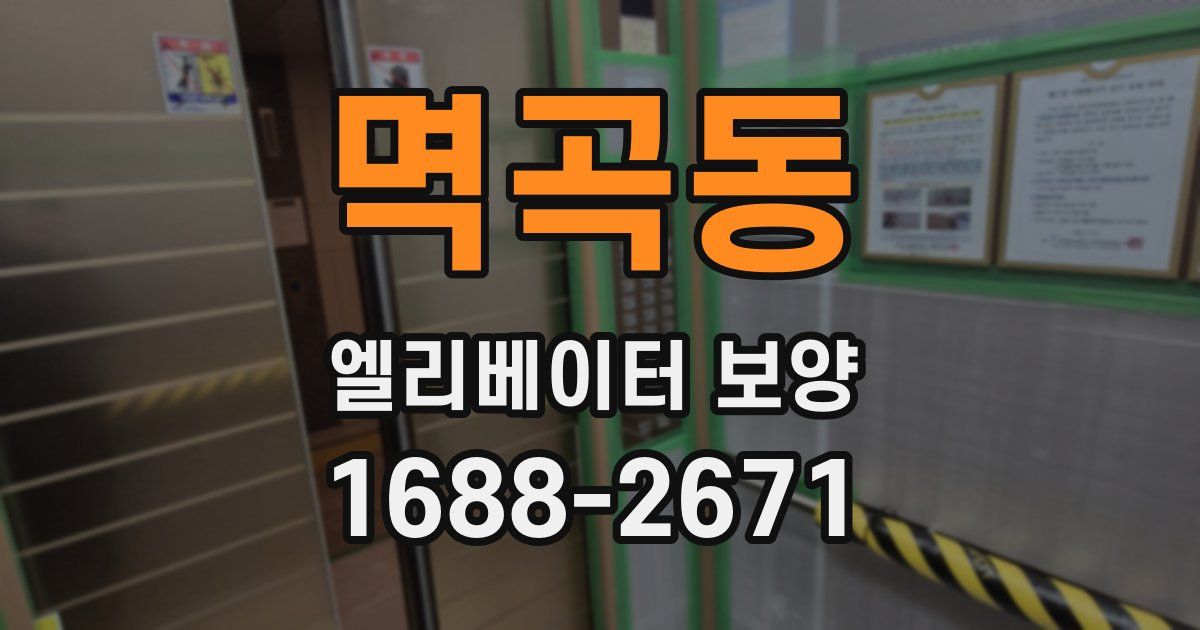 멱곡동 엘리베이터 보양