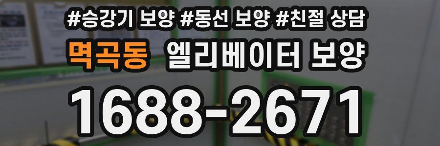 멱곡동 엘리베이터 보양