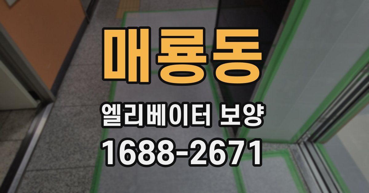 매룡동 엘리베이터 보양