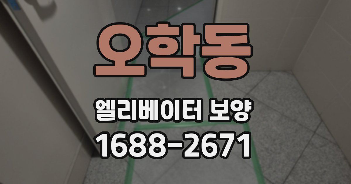 오학동 엘리베이터 보양