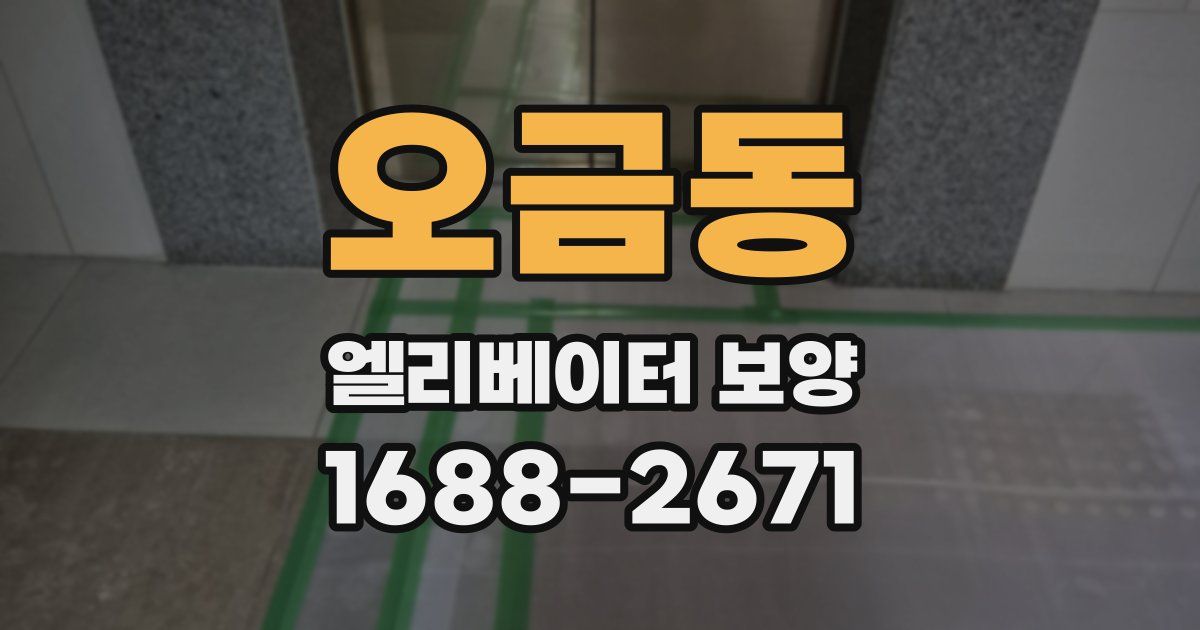 오금동 엘리베이터 보양