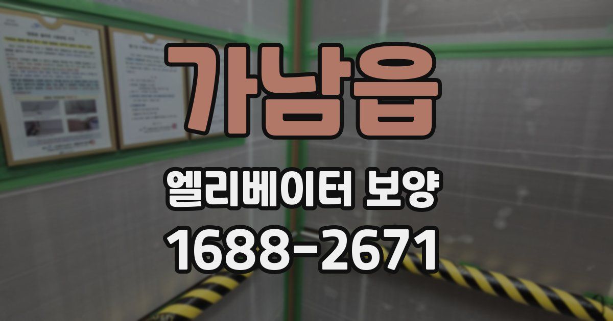 가남읍 엘리베이터 보양