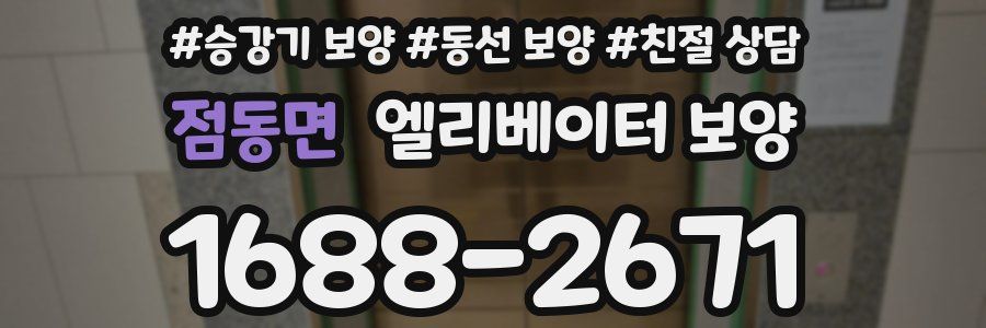 점동면 엘리베이터 보양
