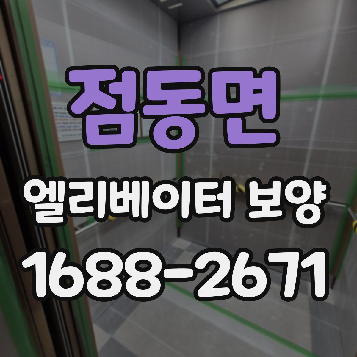 점동면 엘리베이터 보양