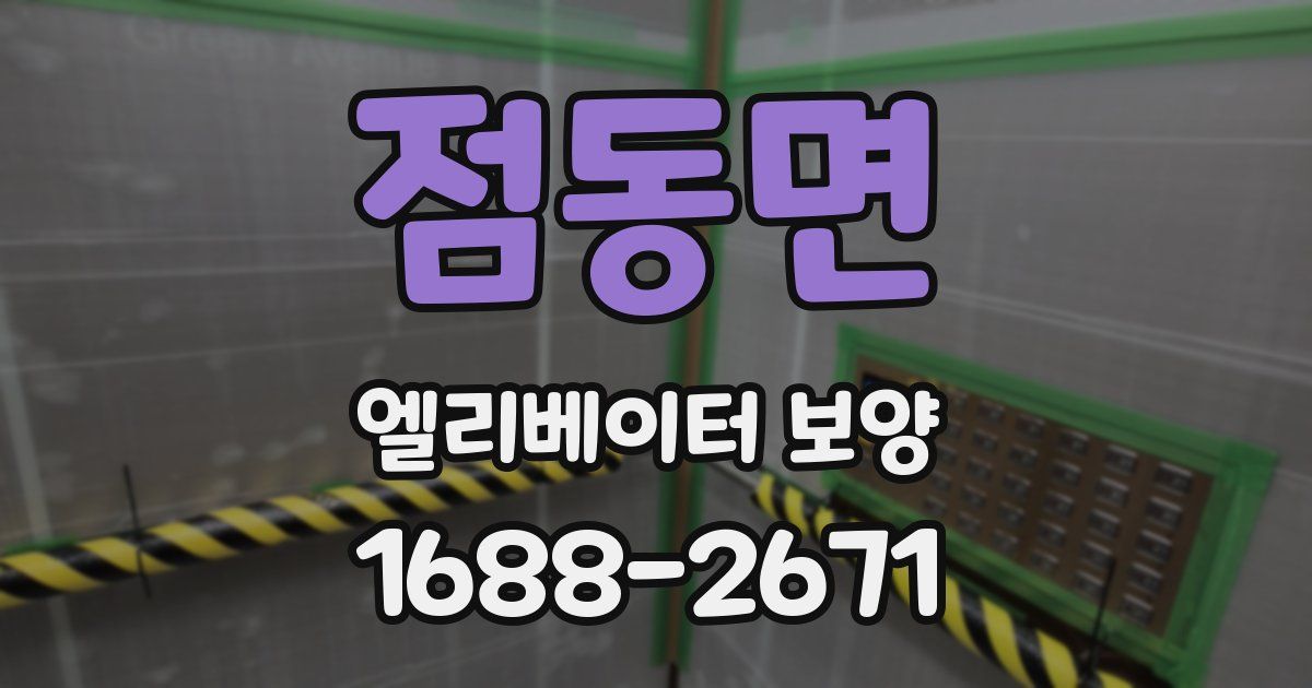 점동면 엘리베이터 보양