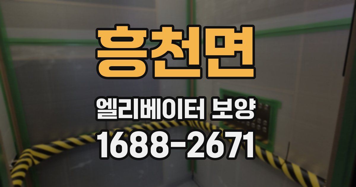 흥천면 엘리베이터 보양