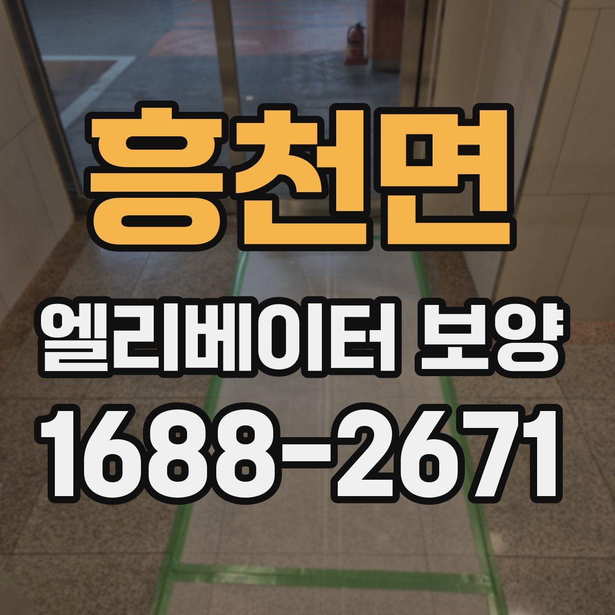 흥천면 엘리베이터 보양