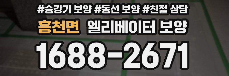 흥천면 엘리베이터 보양