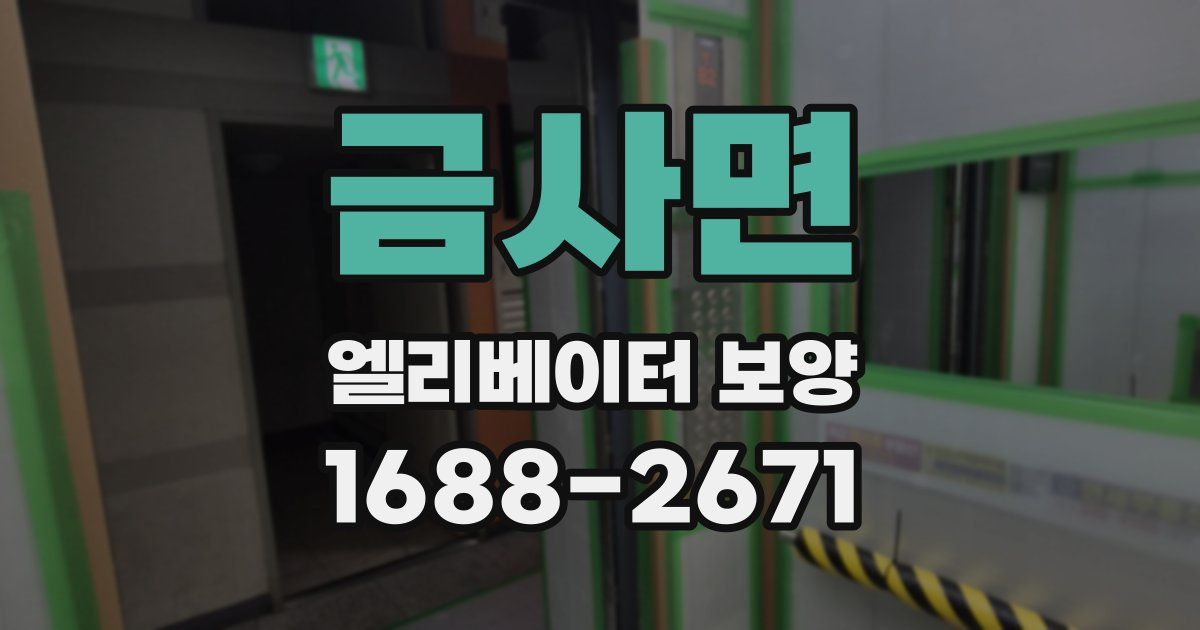 금사면 엘리베이터 보양