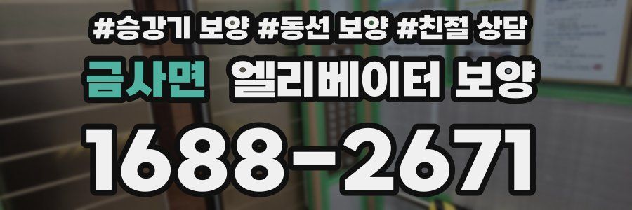 금사면 엘리베이터 보양