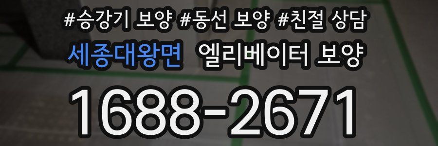 세종대왕면 엘리베이터 보양