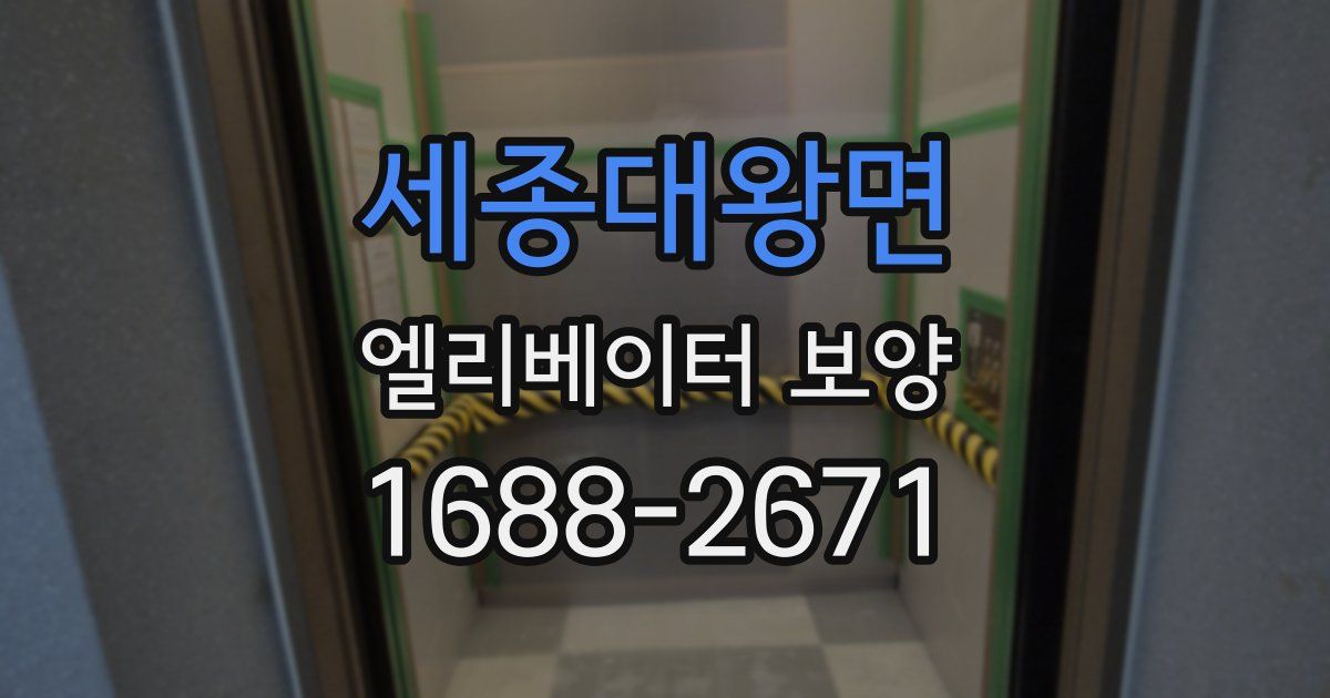 세종대왕면 엘리베이터 보양