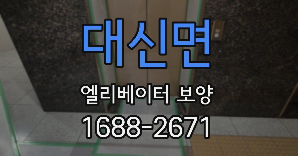 대신면 엘리베이터 보양