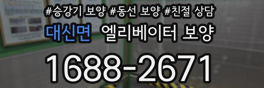 대신면 엘리베이터 보양
