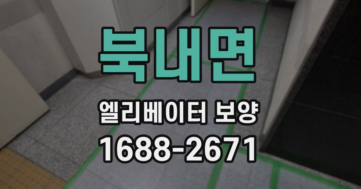 북내면 엘리베이터 보양