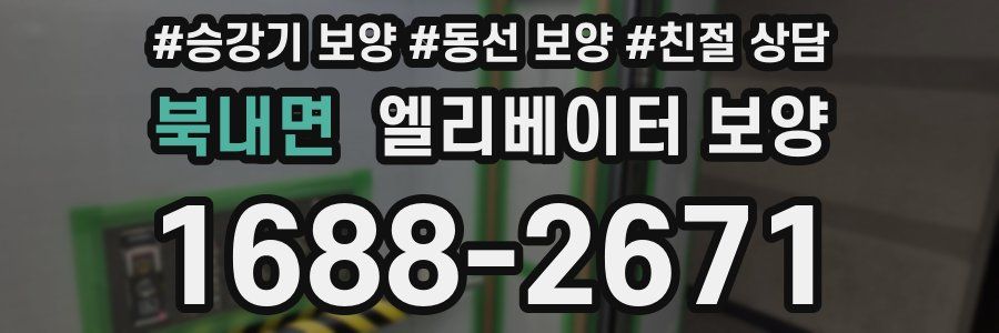 북내면 엘리베이터 보양