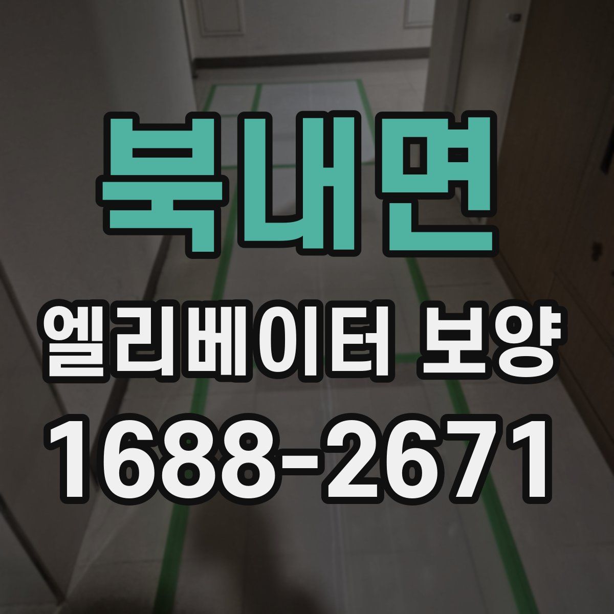 북내면 엘리베이터 보양