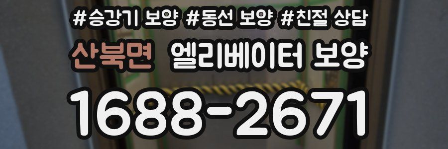 산북면 엘리베이터 보양