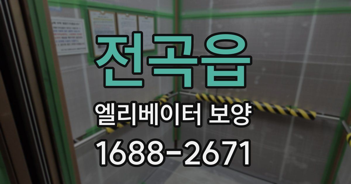 전곡읍 엘리베이터 보양