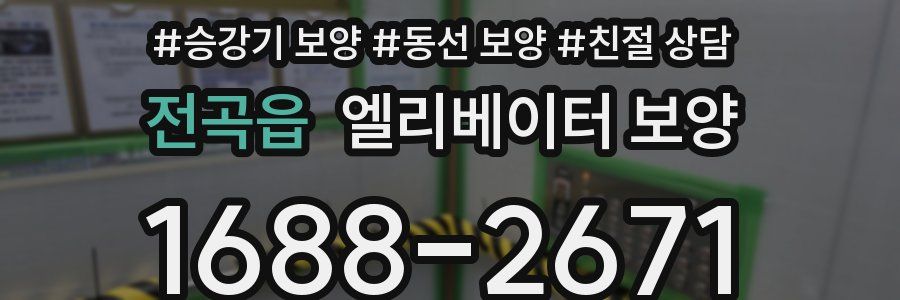 전곡읍 엘리베이터 보양