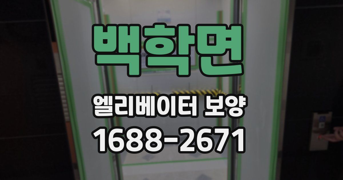 백학면 엘리베이터 보양