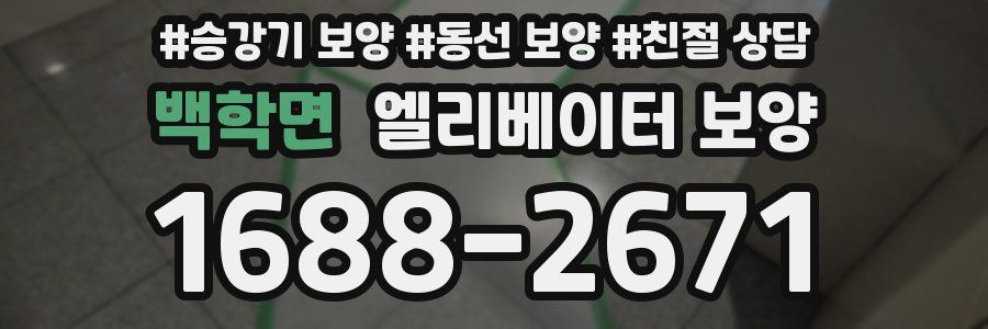 백학면 엘리베이터 보양