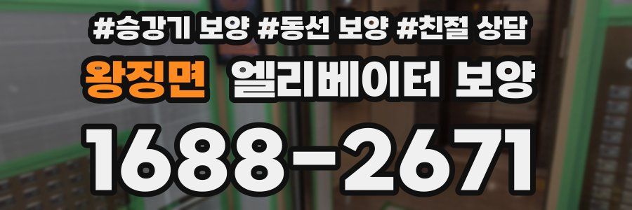 왕징면 엘리베이터 보양