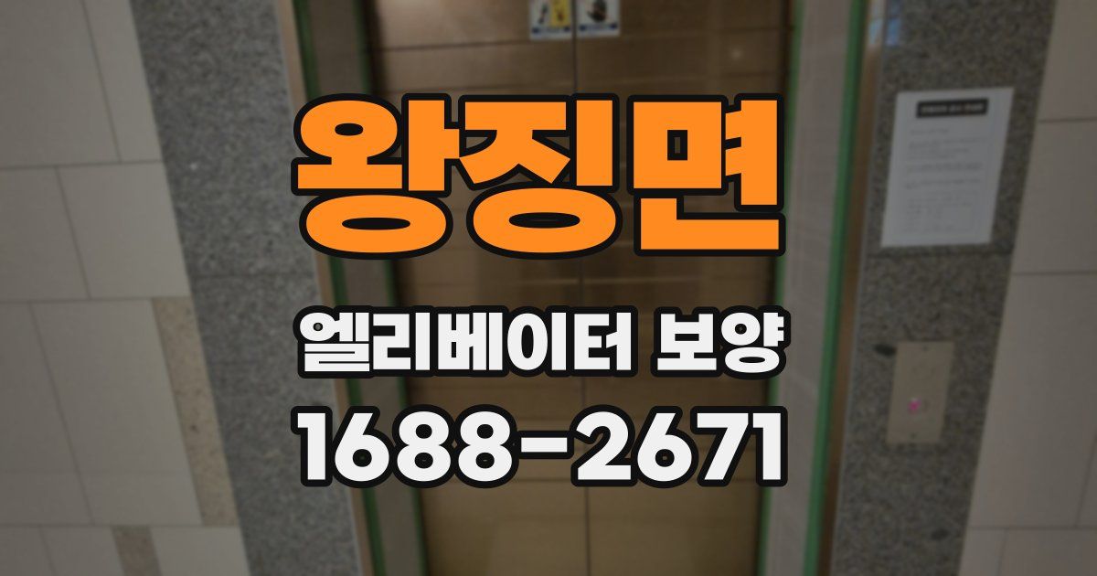 왕징면 엘리베이터 보양