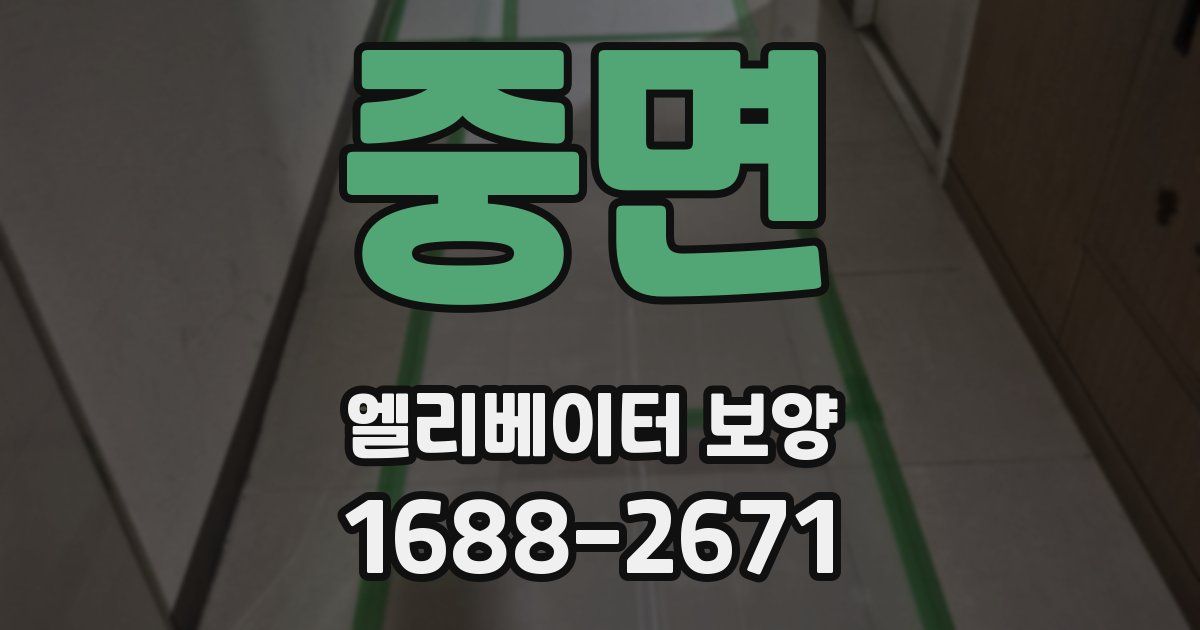 중면 엘리베이터 보양