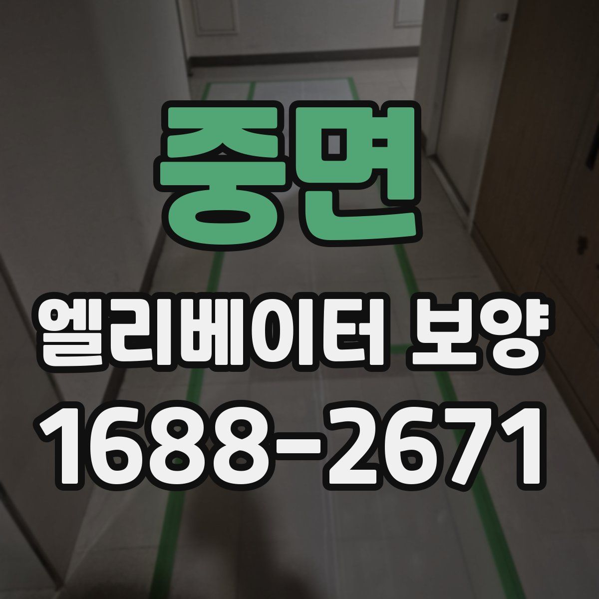 중면 엘리베이터 보양