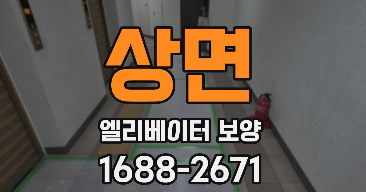 상면 엘리베이터 보양