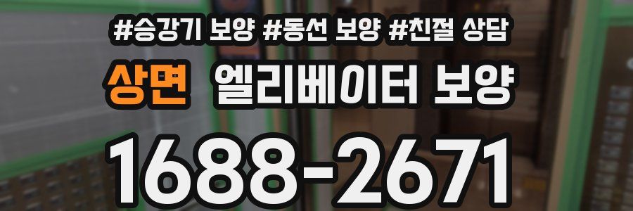 상면 엘리베이터 보양