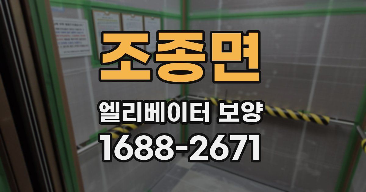 조종면 엘리베이터 보양