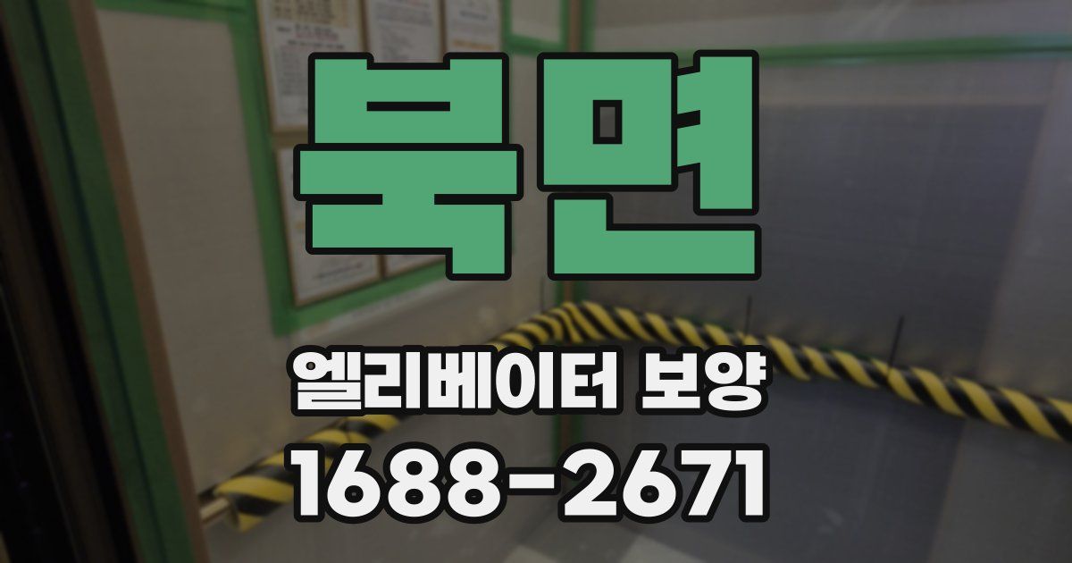 북면 엘리베이터 보양
