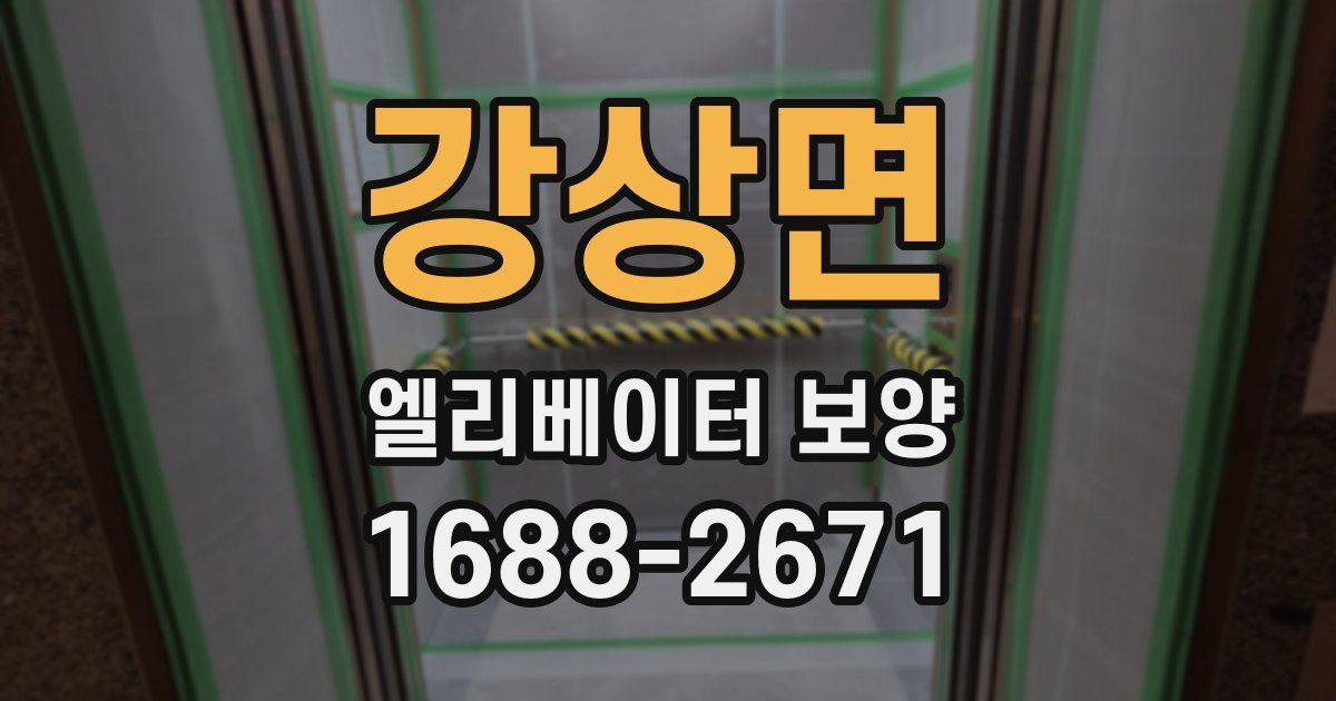 강상면 엘리베이터 보양