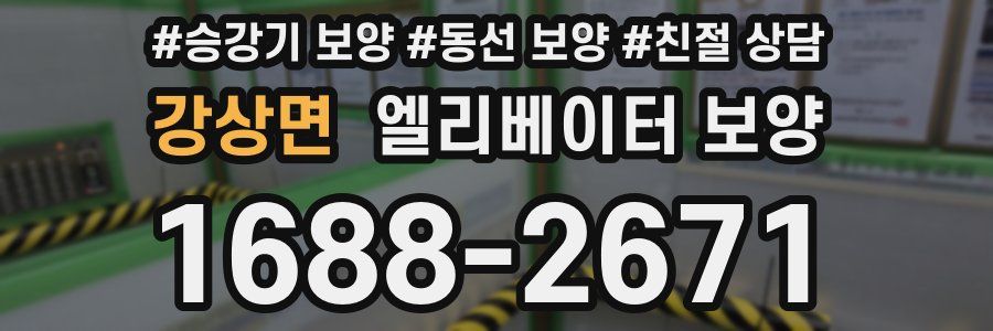 강상면 엘리베이터 보양